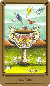 Ace of Cups