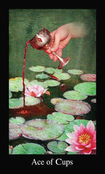 Ace of Cups