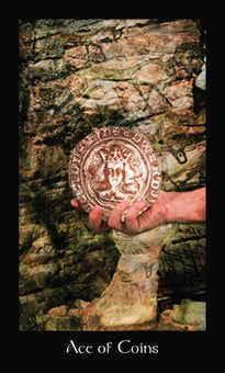Ace of Coins