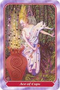 Ace of Cups