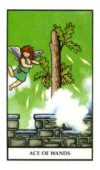 Ace of Wands