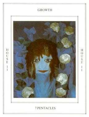 Seven of Pentacles (Coins)