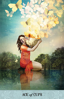 Ace of Cups