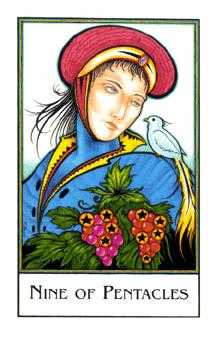 Nine of Pentacles (Coins)