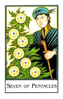 Seven of Pentacles (Coins)