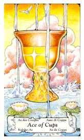 Ace of Cups