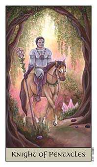 Knight of Coins