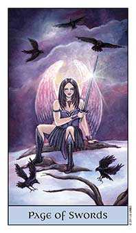 Page of Swords