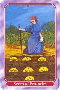 Seven of Pentacles (Coins)