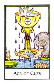 Ace of Cups