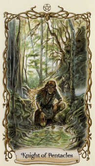 Knight of Pentacles (Coins)