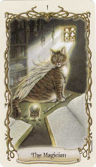 The Magician