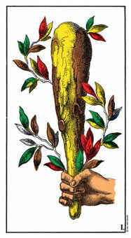 Ace of Wands