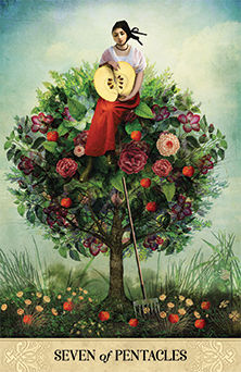 Seven of Pentacles (Coins)