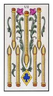 Seven of Wands