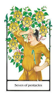 Seven of Pentacles (Coins)