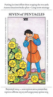 Seven of Pentacles (Coins)