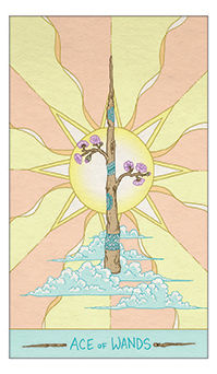 Ace of Wands