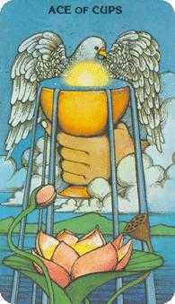 Ace of Cups