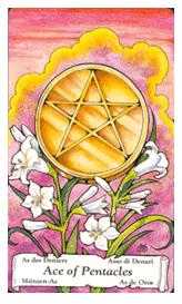 Ace of Coins