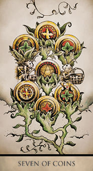 Seven of Coins
