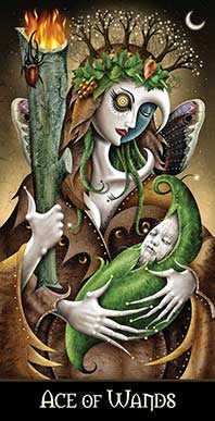 Ace of Wands