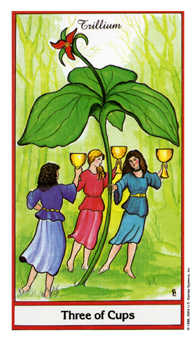 Three of Cups