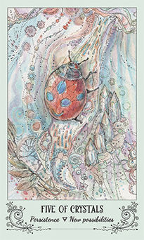 Five of Crystals (Coins)