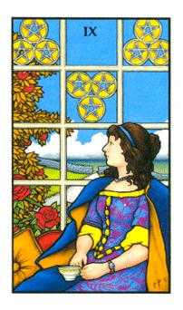 Nine of Pentacles (Coins)