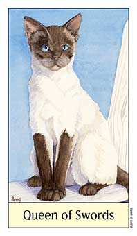 Queen of Swords