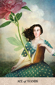 Ace of Wands