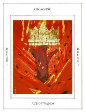 Ace of Wands