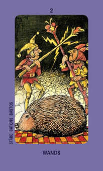 Two of Wands