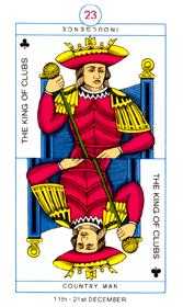 King of Clubs (Wands)