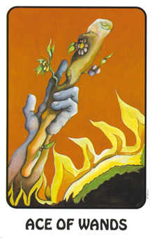 Ace of Wands