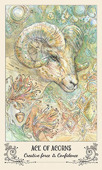 Ace of Acorns (Wands)