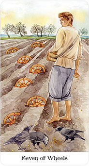 Seven of Wheels (Coins)