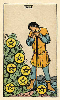 Seven of Coins