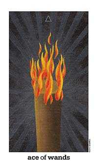 Ace of Wands