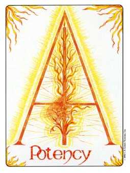 Ace of Wands