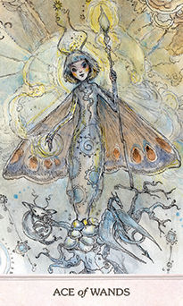 Ace of Wands