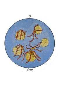 Five of Cups