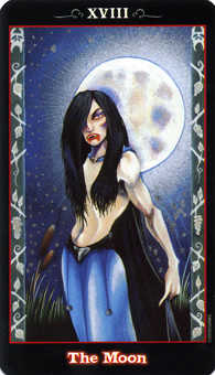 The Moon