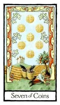 Seven of Coins