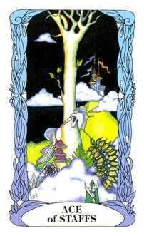 Ace of Wands