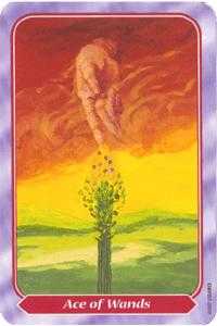 Ace of Wands