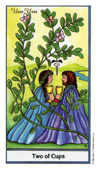Two of Cups