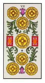 Seven of Pentacles (Coins)
