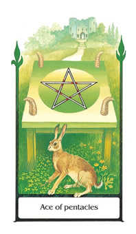 Ace of Pentacles (Coins)