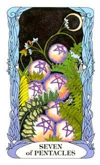 Seven of Coins